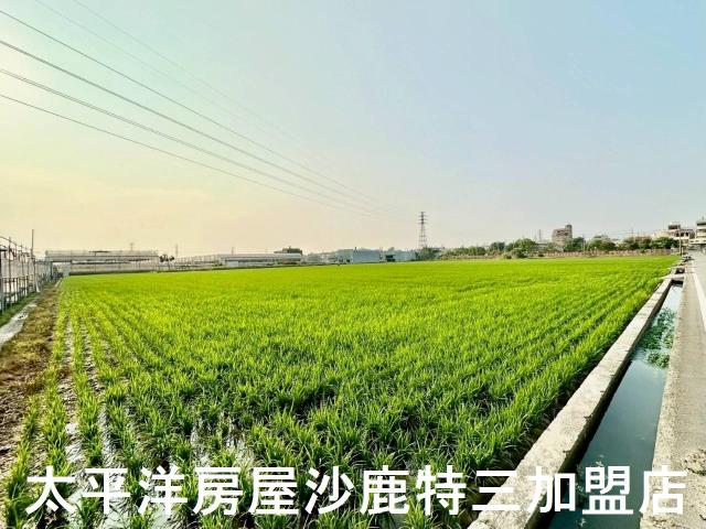 大肚農地-3