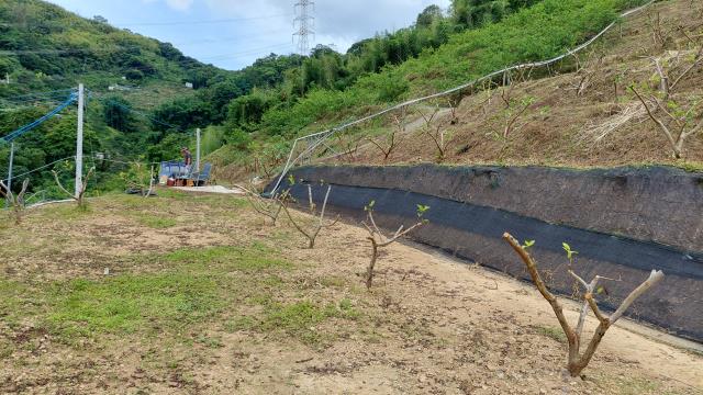 東勢農地_休閒地-5