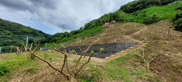 東勢農地_休閒地-6