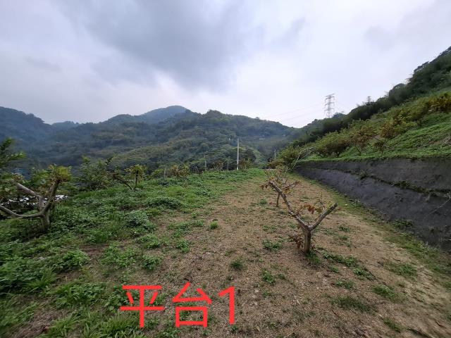 東勢農地_休閒地-9
