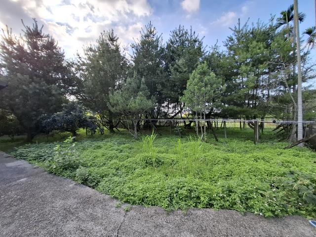 東勢農地_休閒地-3