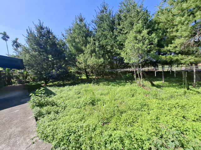 東勢農地_休閒地-4