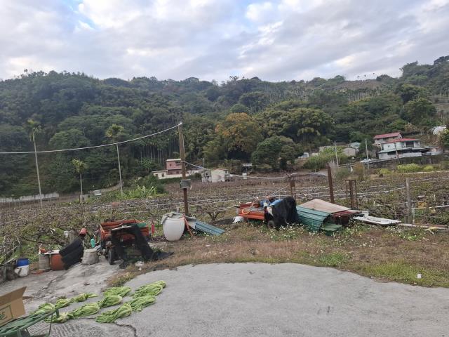 東勢農地_休閒地-3