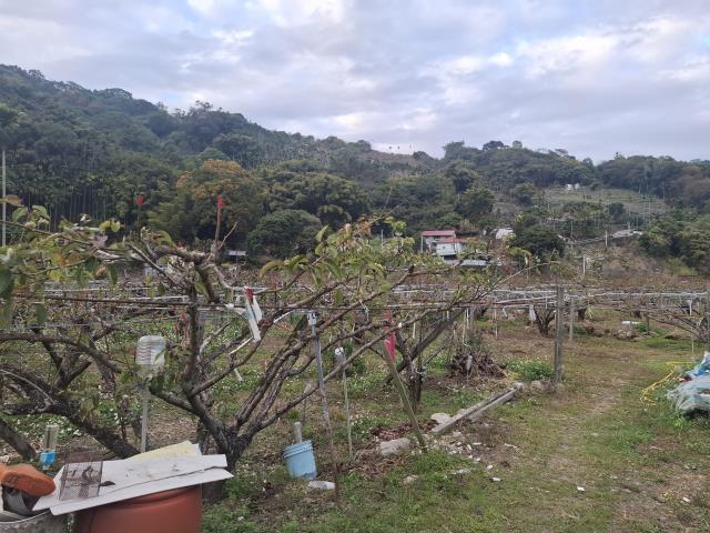 東勢農地_休閒地-4