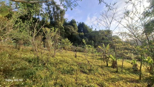 東勢農地_休閒地-2