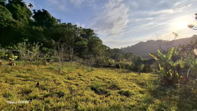 東勢農地_休閒地-3