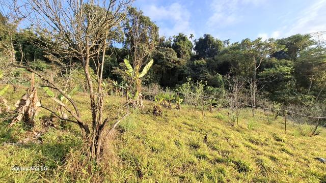 東勢農地_休閒地-4