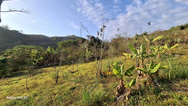 東勢農地_休閒地-5