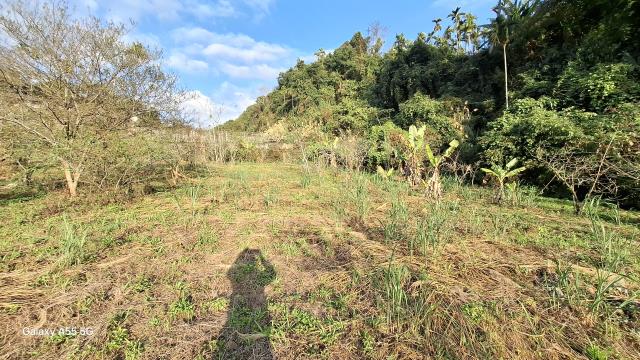 東勢農地_休閒地-6