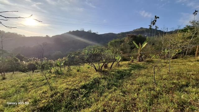 東勢農地_休閒地-7