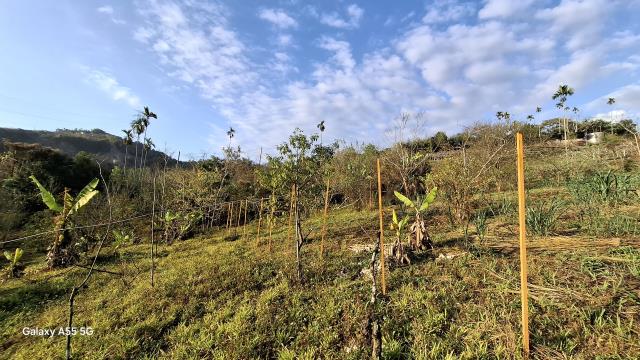 東勢農地_休閒地-8