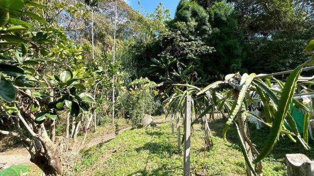 新竹峨眉農地-15