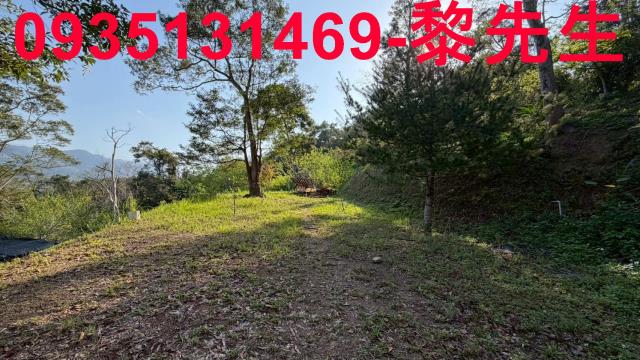 新竹北埔農地-5