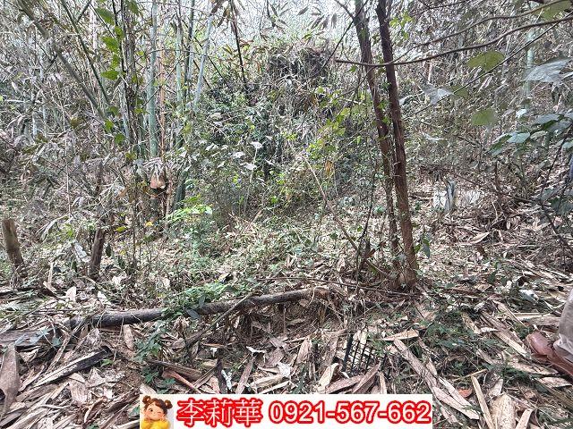 台南新化農地-12