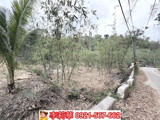 台南新化農地-6