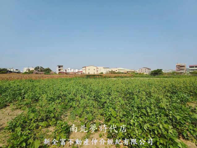 新營農地-4