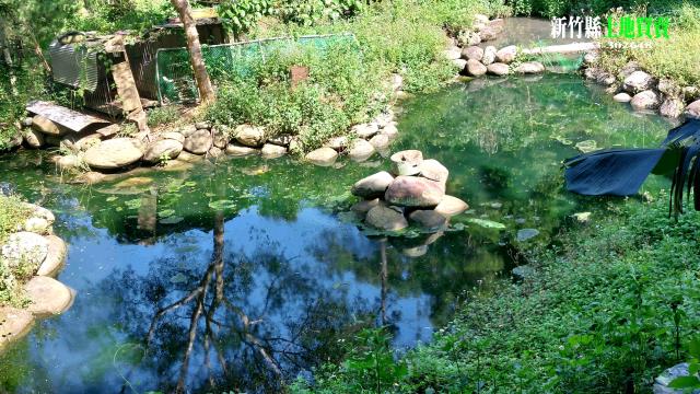 三灣農地_山坡地-2