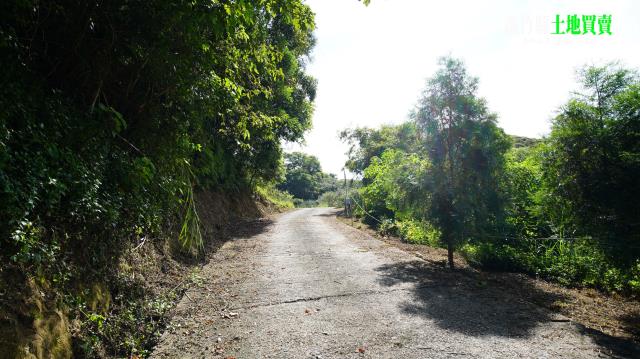 三灣農地_山坡地-8