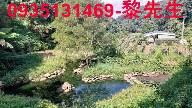 三灣寶地三灣土地三灣農地