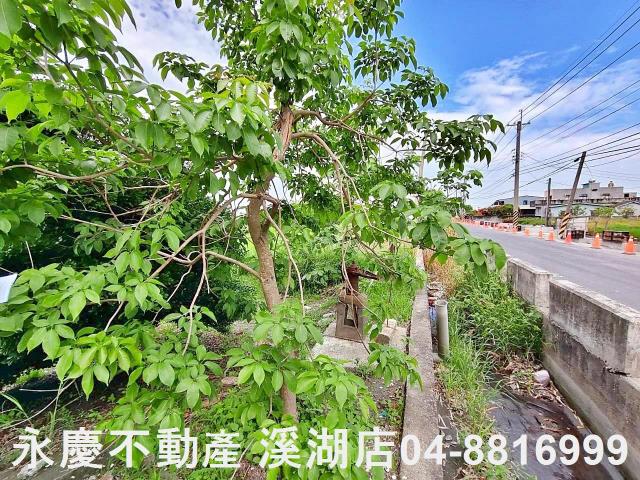 二林農地-1