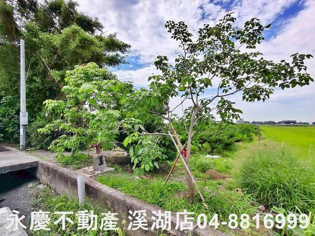 二林農地-15