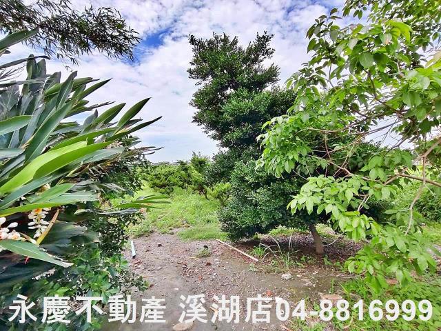 二林農地-3