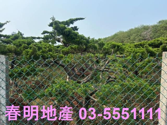 新竹新豐農地-5