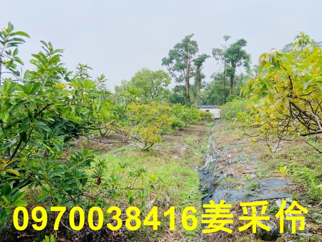 嘉義中埔農地-8