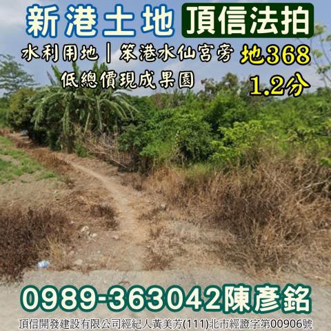 嘉義新港農地_水利地法拍-2