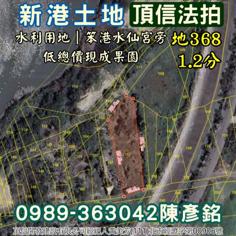 嘉義新港農地_水利地法拍-4