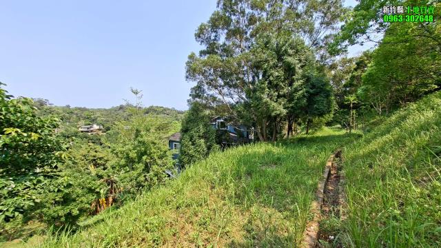 新竹峨眉農地_山坡地_休閒地-10