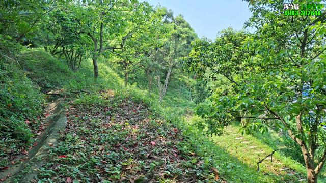 新竹峨眉農地_山坡地_休閒地-11