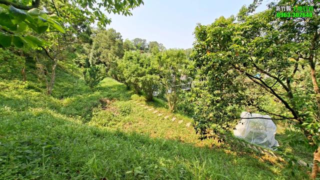 新竹峨眉農地_山坡地_休閒地-12