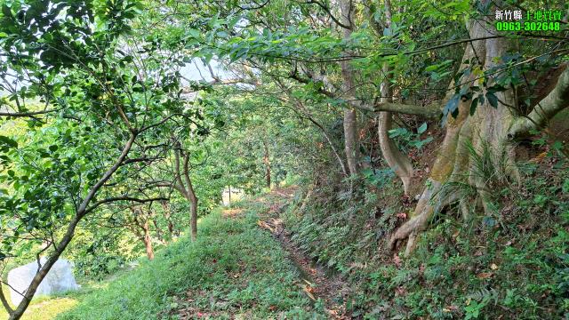 新竹峨眉農地_山坡地_休閒地-14