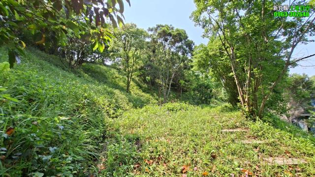 新竹峨眉農地_山坡地_休閒地-7