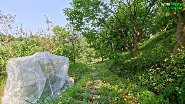 新竹峨眉農地_山坡地_休閒地-8