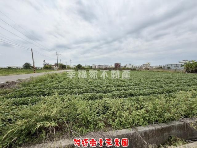 新化農地-11