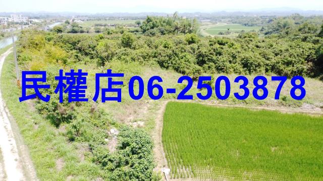 台南官田農地-7