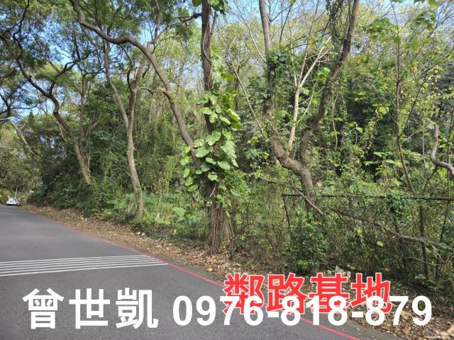 竹東建地_住宅地-3