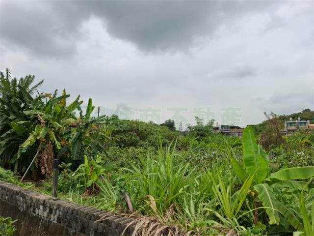高雄農地-9