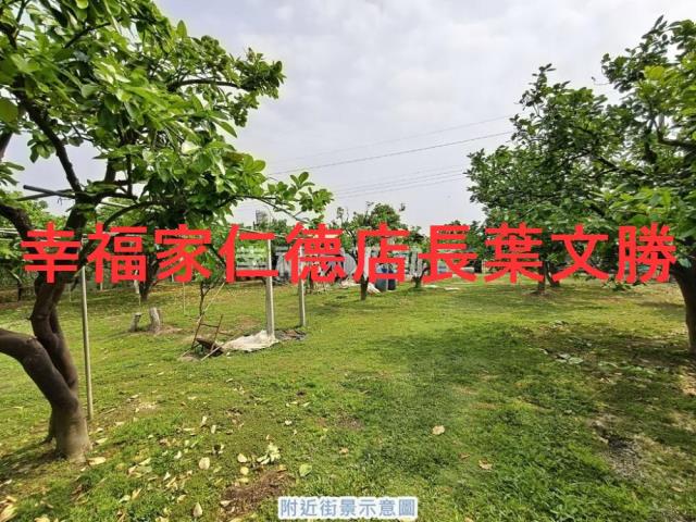 台南麻豆農地-8