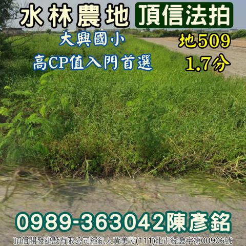 雲林水林農地拍賣-2