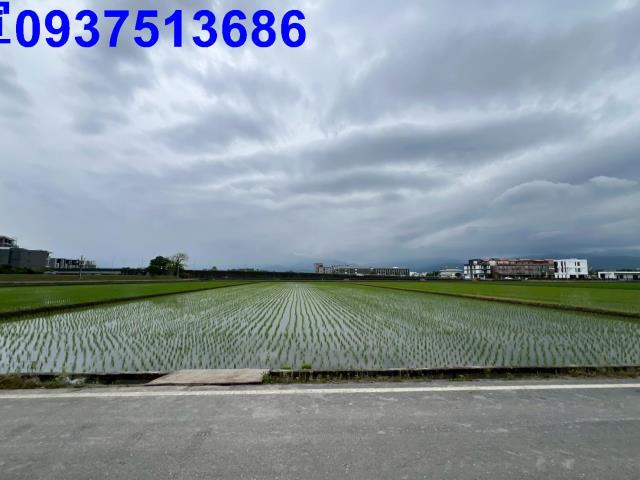 宜蘭宜蘭市農地-5