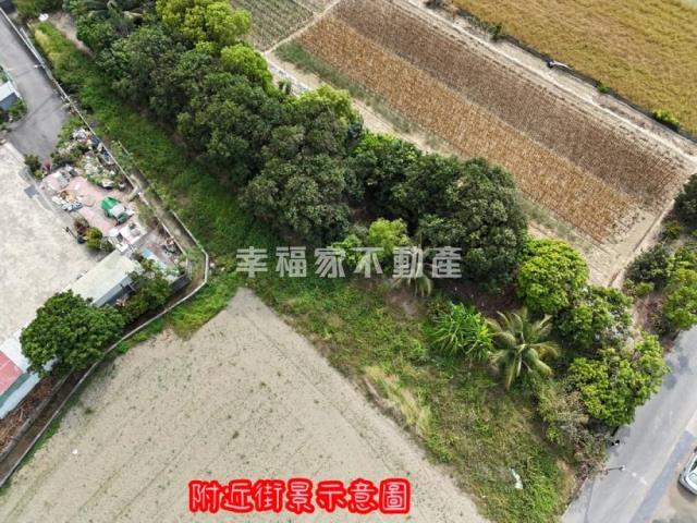 台南農地_建地-13