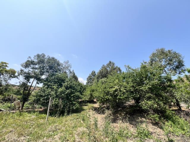 台中農地_休閒地-10