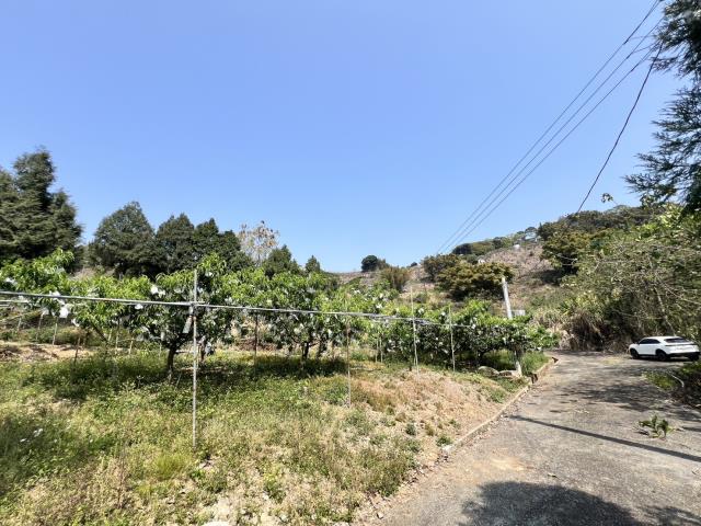 台中農地_休閒地-4