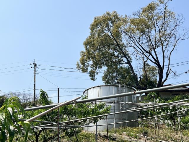 台中農地_休閒地-8