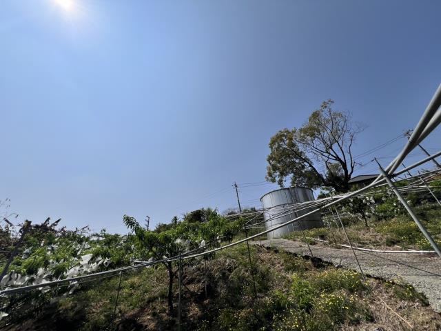 台中農地_休閒地-9