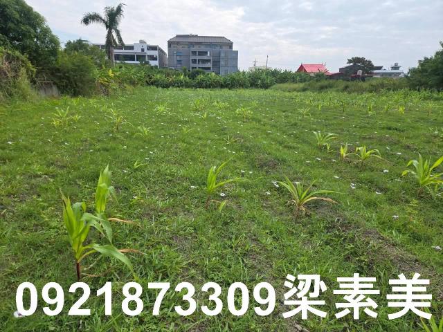 台南永康農地-10