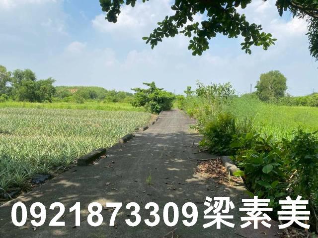 台南關廟農地-6